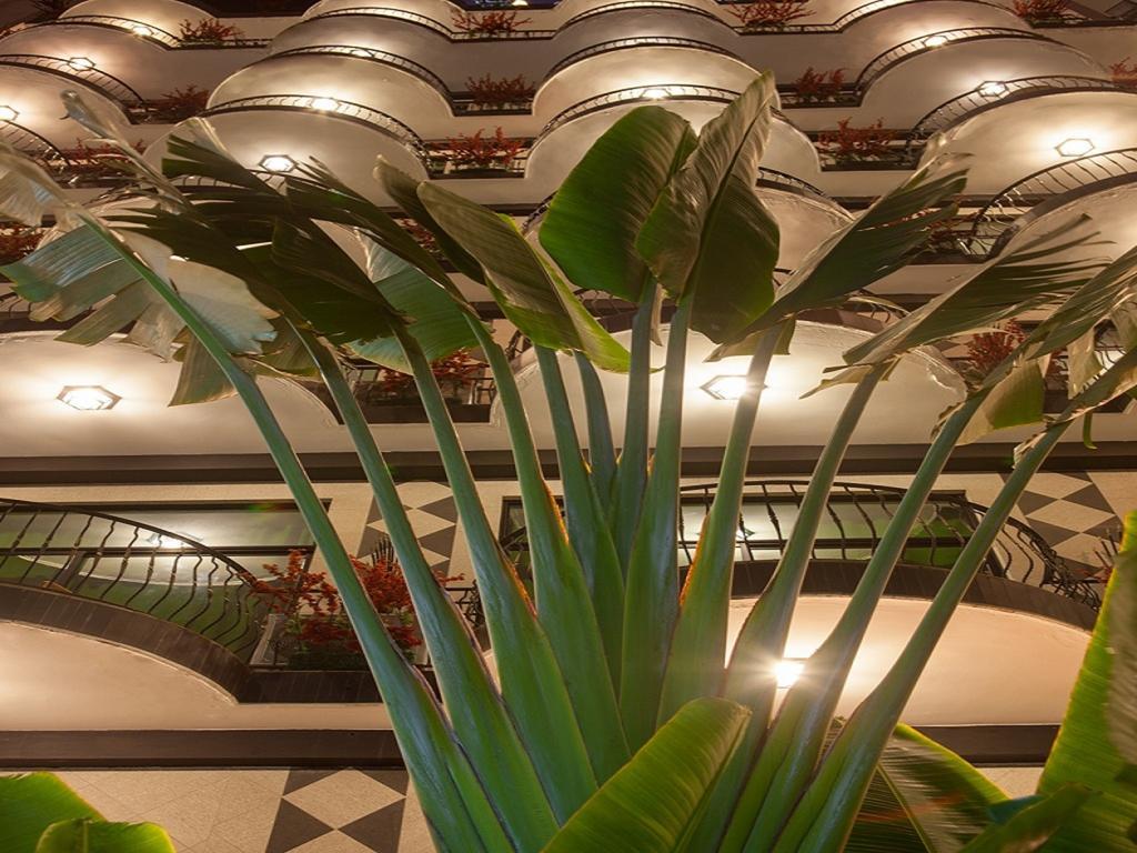 פוינט נואר Atlantic Palace Hotel מראה חיצוני תמונה
